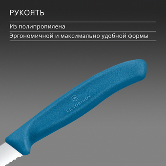  Нож кухонный Victorinox Swiss Classic 6.7632.C1 для чистки овощей и фруктов лезв.80мм серрейт. заточка синий 