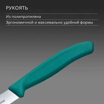  Нож кухонный Victorinox Swiss Classic 6.7704.C1 для овощей лезв.100мм прямая заточка зеленый 