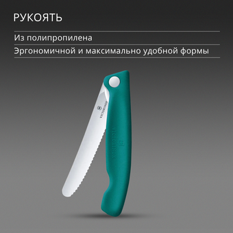  Нож кухонный Victorinox Swiss Classic 6.7834.FC1 стальной столовый лезв.110мм серрейт. заточка зеленый карт.коробка 