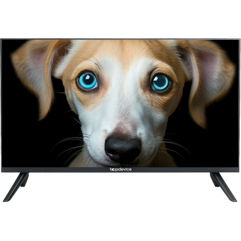  Телевизор Topdevice TDHTV24YHD_BK черный 