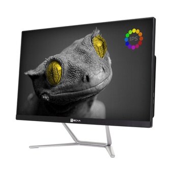  Моноблок Тесла Z24B (2416500) 