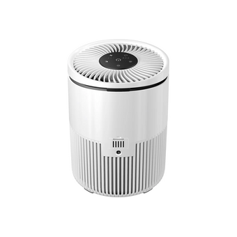  Очиститель воздуха THERMEX Bora 