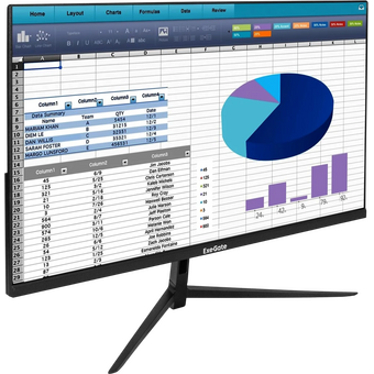  Монитор ExeGate EZ2400 (EX299031RUS) 