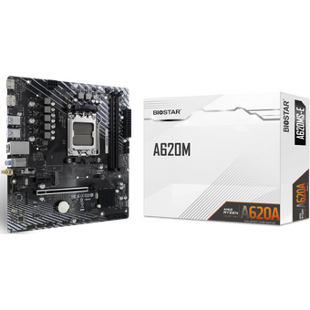  Материнская плата Biostar A620MS-E 