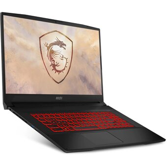  Ноутбук MSI Katana 17 B13VEK-1611XRU (9S7-17L541-1611) Core i5 13420H 16Gb SSD1Tb Nvidia GeForce RTX4050 6Gb 17.3" IPS FHD (1920x1080) без ОС black 