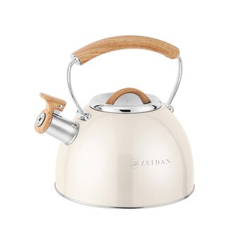  Чайник ZEIDAN Z-4545 2,5л 