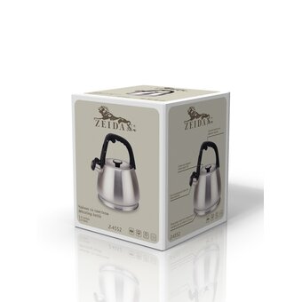  Чайник ZEIDAN Z-4552 3,0л нерж 