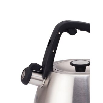  Чайник ZEIDAN Z-4552 3,0л нерж 