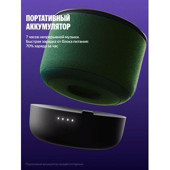  Умная колонка ЯНДЕКС Станция Мини 3 Про Алиса YNDX-00059GRN зеленый 