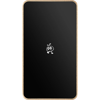  Внешний SSD Smartbuy P5 Pro SBD256P5CU3C 256GB USB 3.2 champagne 