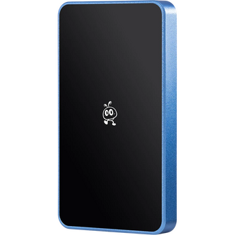  Внешний SSD Smartbuy P5 Pro SBD256P5FU3C 256GB USB 3.2 frost 