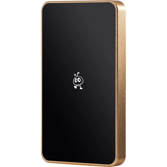  Внешний SSD Smartbuy P5 Pro SBD2T0P5CU3C 2TB USB 3.2 champagne 