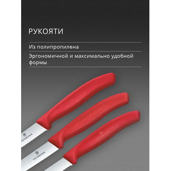  Набор ножей кухонных Victorinox Swiss Classic 6.7111.34C1 для овощей компл. 3предм. красный европодвес 