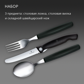  Набор столовых приборов Victorinox Swiss Classic 6.7193.3F черный 