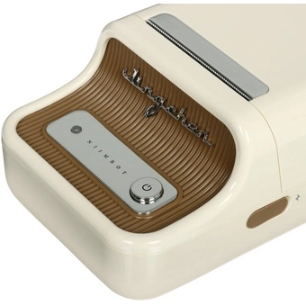  Термопринтер Niimbot B21S (1746728) 203dpi 60мм/с/USB/BT для печ.этик. белый 