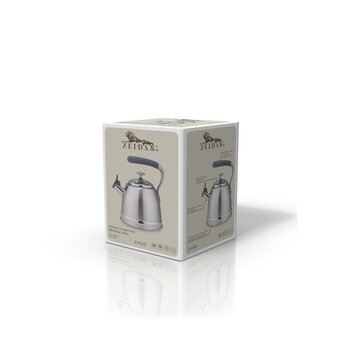  Чайник ZEIDAN Z-4549 3,0л нерж 