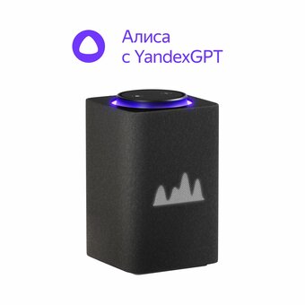  УЦ Яндекс Станция Макс YNDX-00053K черный (плохая упаковка) 