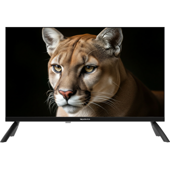  Телевизор TopDevice TDWC24BH1000I черный 