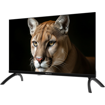  Телевизор TopDevice TDWC24BH1000I черный 