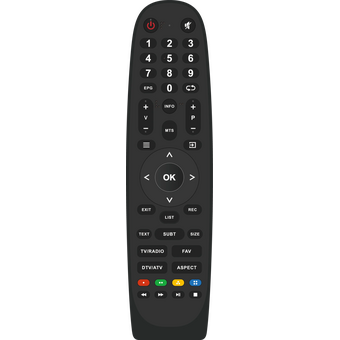  Телевизор TopDevice TDWC24BH1000I черный 