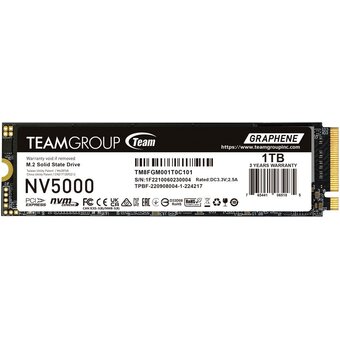  SSD Team Group NV5000 (TM8FGM001T0C101) 1Tb 