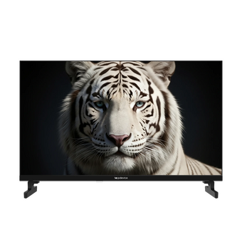  Телевизор Topdevice TDWC24BH5260V черный 