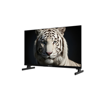  Телевизор Topdevice TDWC24BH5260V черный 