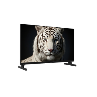  Телевизор Topdevice TDWC24BH5260V черный 