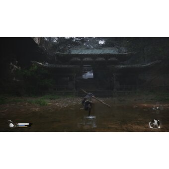  Игра Black Myth: Wukong на PS5 русские субтитры 
