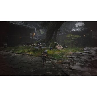  Игра Black Myth: Wukong на PS5 русские субтитры 