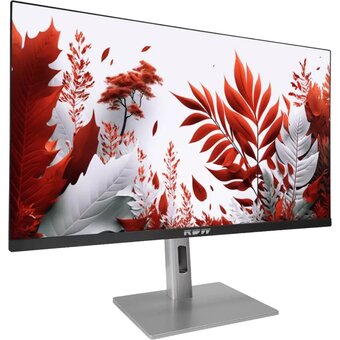  Монитор RDW Computers RDW2407 (2407K/F14В3120V2A1B) черный/серебристый 