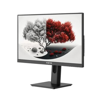  Монитор RDW Computers RDW2401K (2401K/F08B0100V2A1A) черный 