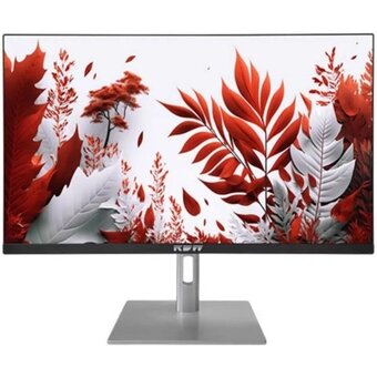  Монитор RDW Computers RDW2407 (2407K/F14В3120V2A1B) черный/серебристый 