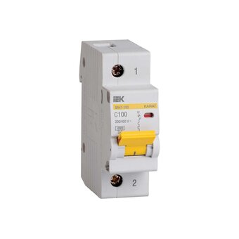  Автоматический модульный выключатель IEK ИЭК MVA40-1-100-C 