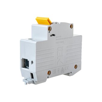  Автоматический модульный выключатель IEK ИЭК MVA40-1-100-C 