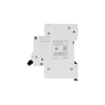  Автоматический выключатель Systeme Electric City9 Set АВ C (C9F34332) 