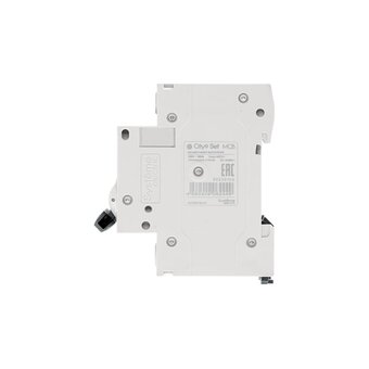  Автоматический выключатель Systeme Electric City9 Set АВ C (C9F34325) 