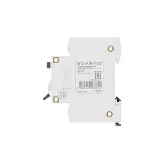  Дифавтомат Systeme Electric City9 Set (C9D55616) 