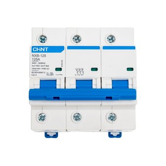  Автоматический модульный выключатель CHINT NXB-125 (R) 816143 
