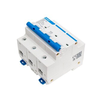  Автоматический модульный выключатель CHINT NXB-125 (R) 816143 