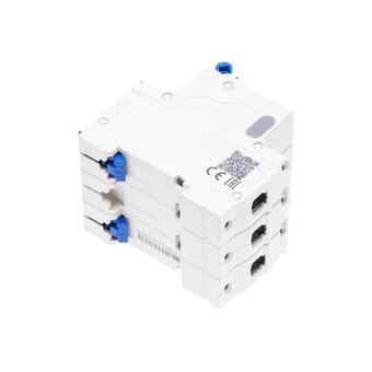  Автоматический выключатель CHINT NXB-63S (296833) 