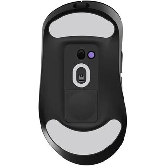  Игровая мышь RAPOO VT3MAXDM-BL черный 