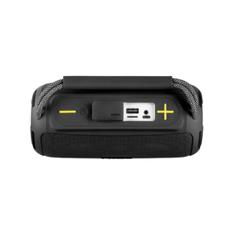  Портативная колонка Defender Enjoy S450 (65451) 