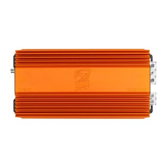  Автоусилитель DL Audio Raven Compact 1.1200 