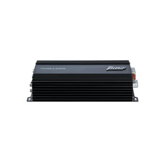  Автоусилитель AMP Mass 1.1000 