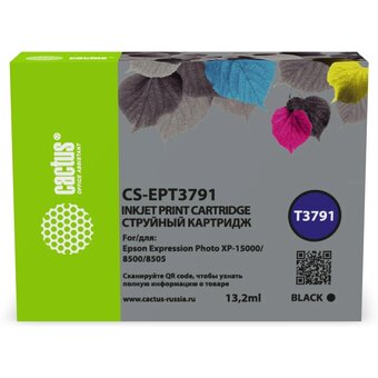  Картридж струйный Cactus CS-EPT3791 378XL черный 13.2мл для Epson Expression Photo XP-8500/XP-8505/XP-15000 с чипом 