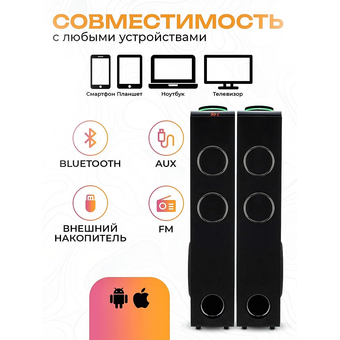  Акустическая система ELTRONIC 30-49 Home Sound черный 