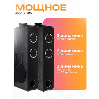  Акустическая система ELTRONIC 30-49 Home Sound черный 