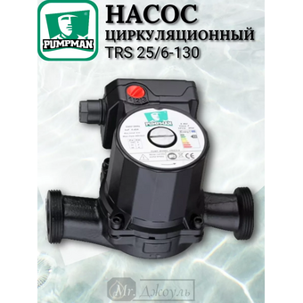  Насос циркуляционный Pumpman TRS25/6-130 