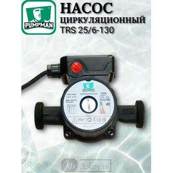 Насос циркуляционный Pumpman TRS25/6-130 
